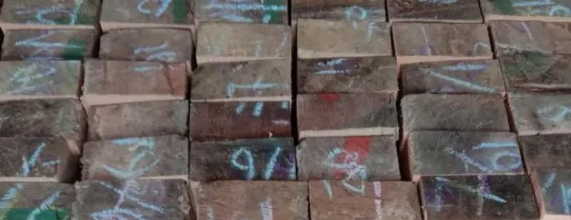 Kayu Kruing Pilihan Tepat untuk Konstruksi dilihat dari harga kayunya 1 ✅ | Jualkayu 2026 Harga kayu kruing, kayu kruing pilihan tepat
