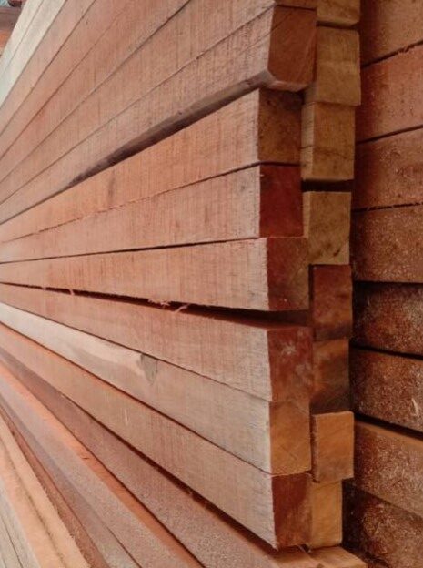 Kayu Meranti, si Cantik yang Menawan Hati 1 ✅ | Jualkayu 2026 Kayu meranti, jual kayu meranti