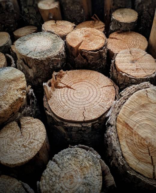 Suplier Kayu Jakarta Indonesia