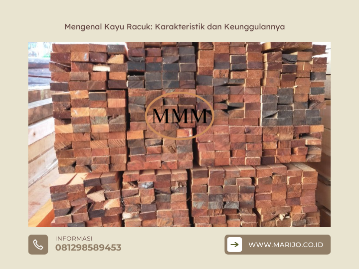Mengenal Kayu Racuk: Karakteristik dan Keunggulannya 2 ✅ | Jualkayu 2026 Mengenal Kayu Racuk Karakteristik dan Keunggulannya