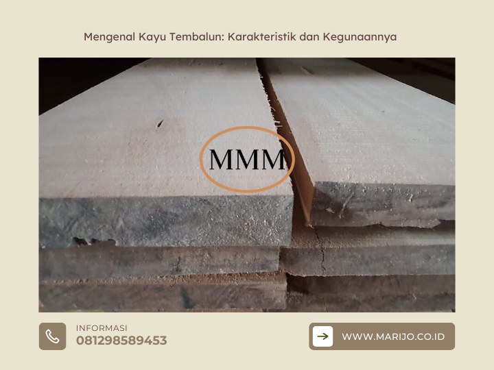 ❤️ Mengenal Kayu Tembalun Karakteristik dan Kegunaannya | Jualkayu 2026