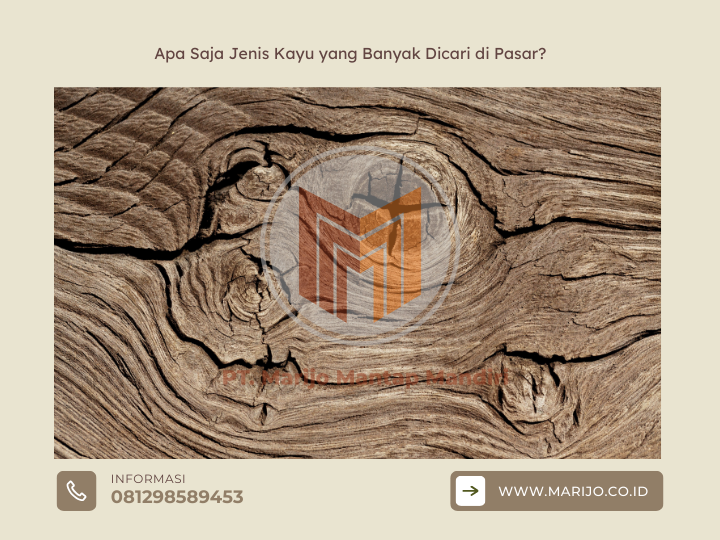 Apa Saja Jenis Kayu yang Banyak Dicari di Pasar? 1 ✅ | Jualkayu 2026 Apa Saja Jenis Kayu yang Banyak Dicari di Pasar