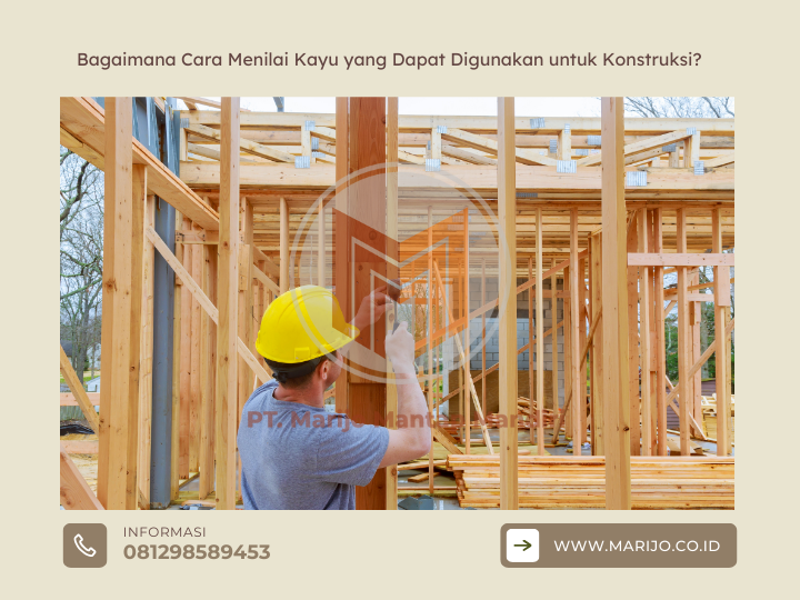 Bagaimana Cara Menilai Kayu yang Dapat Digunakan untuk Konstruksi? 2 ✅ | Jualkayu 2026 Bagaimana Cara Menilai Kayu yang Dapat Digunakan untuk Konstruksi