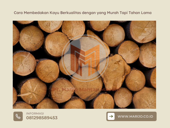 Cara Membedakan Kayu Berkualitas dengan yang Murah Tapi Tahan Lama 2 ✅ | Jualkayu 2026 Cara Membedakan Kayu Berkualitas dengan yang Murah Tapi Tahan Lama