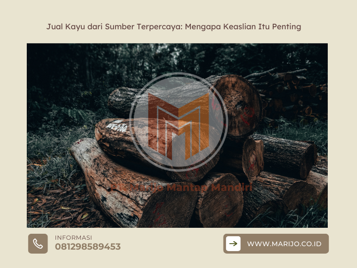 Jual Kayu dari Sumber Terpercaya: Mengapa Keaslian Itu Penting 2 ✅ | Jualkayu 2026 Jual Kayu dari Sumber Terpercaya Mengapa Keaslian Itu Penting