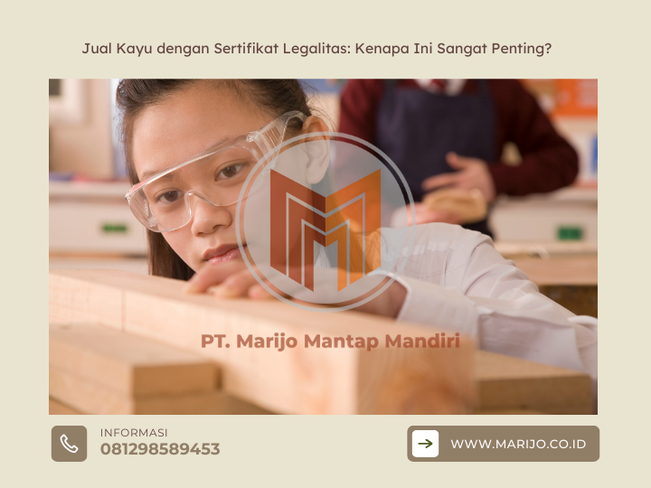 Jual Kayu dengan Sertifikat Legalitas: Kenapa Ini Sangat Penting? 2 ✅ | Jualkayu 2026 Jual Kayu dengan Sertifikat Legalitas Kenapa Ini Sangat Penting