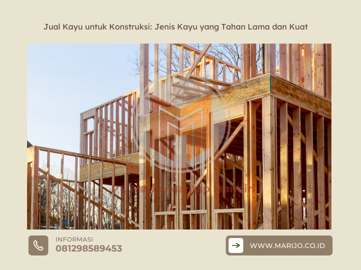 Jual Kayu untuk Konstruksi: Jenis Kayu yang Tahan Lama dan Kuat 2 ✅ | Jualkayu 2026 Jual Kayu untuk Konstruksi Jenis Kayu yang Tahan Lama dan Kuat