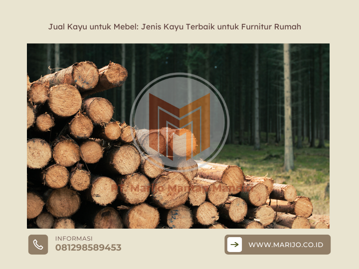 Jual Kayu untuk Mebel: Jenis Kayu Terbaik untuk Furnitur Rumah 2 ✅ | Jualkayu 2026 Jual Kayu untuk Mebel