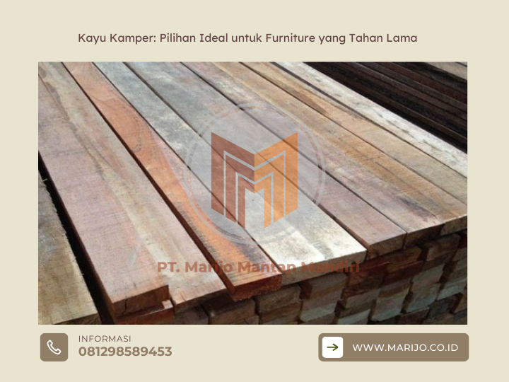 Kayu Kamper: Pilihan Ideal untuk Furniture yang Tahan Lama 2 ✅ | Jualkayu 2026 Kayu Kamper Pilihan Ideal untuk Furniture yang Tahan Lama