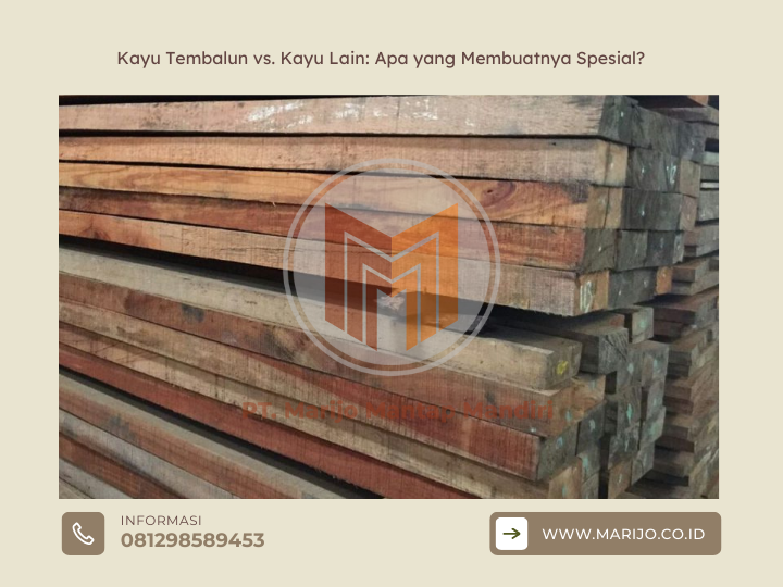 Kayu Tembalun vs. Kayu Lain: Apa yang Membuatnya Spesial? 2 ✅ | Jualkayu 2026 Kayu Tembalun vs. Kayu Lain Apa yang Membuatnya Spesial