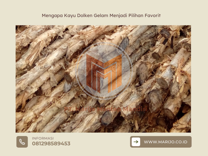 Mengapa Kayu Dolken Gelam Menjadi Pilihan Favorit Pengrajin Furniture? 2 ✅ | Jualkayu 2026 Mengapa Kayu Dolken Gelam Menjadi Pilihan Favorit