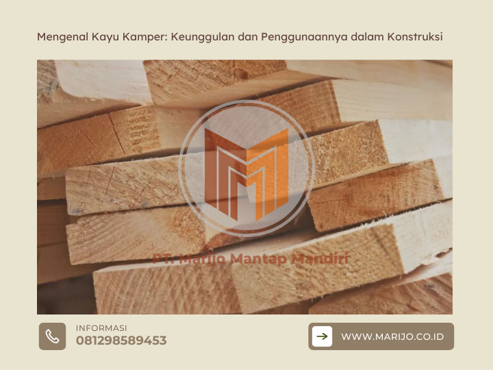 Mengenal Kayu Kamper: Keunggulan dan Penggunaannya dalam Konstruksi 2 ✅ | Jualkayu 2026 Mengenal Kayu Kamper Keunggulan dan Penggunaannya dalam Konstruksi