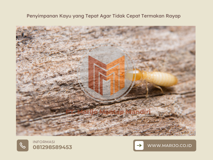 Penyimpanan Kayu yang Tepat Agar Tidak Cepat Termakan Rayap 2 ✅ | Jualkayu 2026 Penyimpanan Kayu yang Tepat Agar Tidak Cepat Termakan Rayap