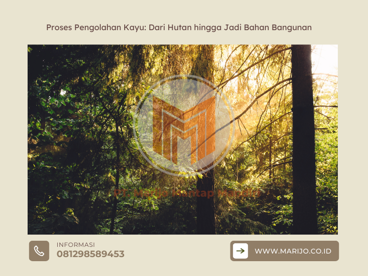 Proses Pengolahan Kayu: Dari Hutan hingga Jadi Bahan Bangunan 1 ✅ | Jualkayu 2026 Proses Pengolahan Kayu Dari Hutan hingga Jadi Bahan Bangunan