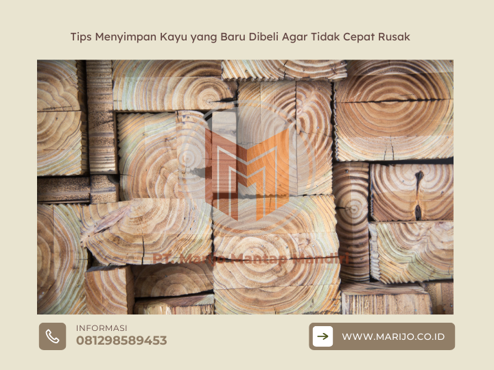 Keunggulan Kayu Meranti untuk Kebutuhan Interior Rumah 2 ✅ | Jualkayu 2026 Tips Menyimpan Kayu yang Baru Dibeli Agar Tidak Cepat Rusak