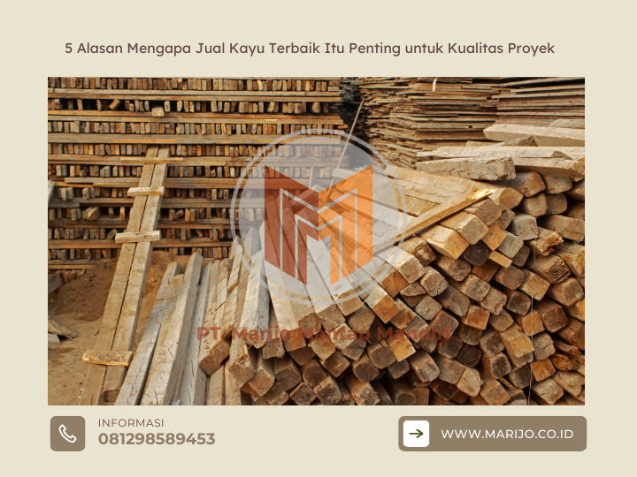 5 Alasan Mengapa Jual Kayu Terbaik Itu Penting untuk Kualitas Proyek
