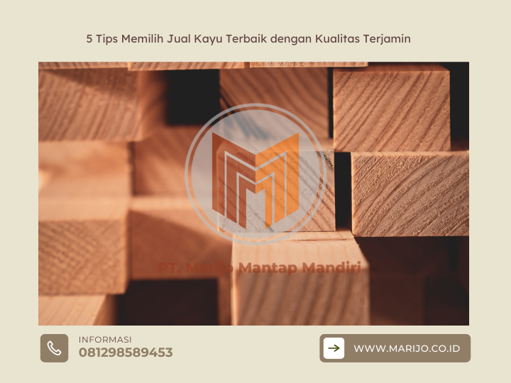 5 Tips Memilih Jual Kayu Terbaik dengan Kualitas Terjamin 2 ✅ | Jualkayu 2026 5 Tips Memilih Jual Kayu Terbaik dengan Kualitas Terjamin