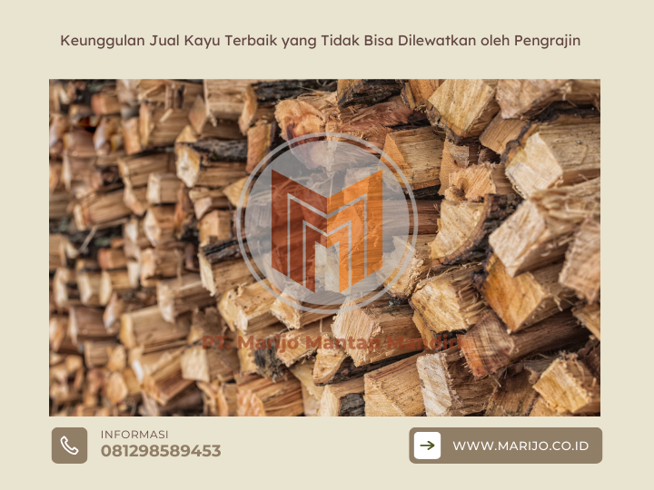 Keunggulan Jual Kayu Terbaik yang Tidak Bisa Dilewatkan oleh Pengrajin