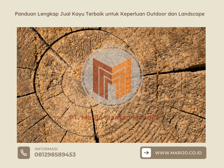 Panduan Lengkap Jual Kayu Terbaik untuk Keperluan Outdoor dan Landscape 2 ✅ | Jualkayu 2026 Panduan Lengkap Jual Kayu Terbaik untuk Keperluan Outdoor dan Landscape