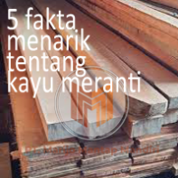 5 fakta menarik tentang kayu meranti