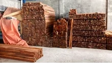 Berbagai Karakteristik dan Penggunaan Kayu Racuk 1 ✅ | Jualkayu 2026 Berbagai Karakteristik dan Penggunaan Kayu Racuk